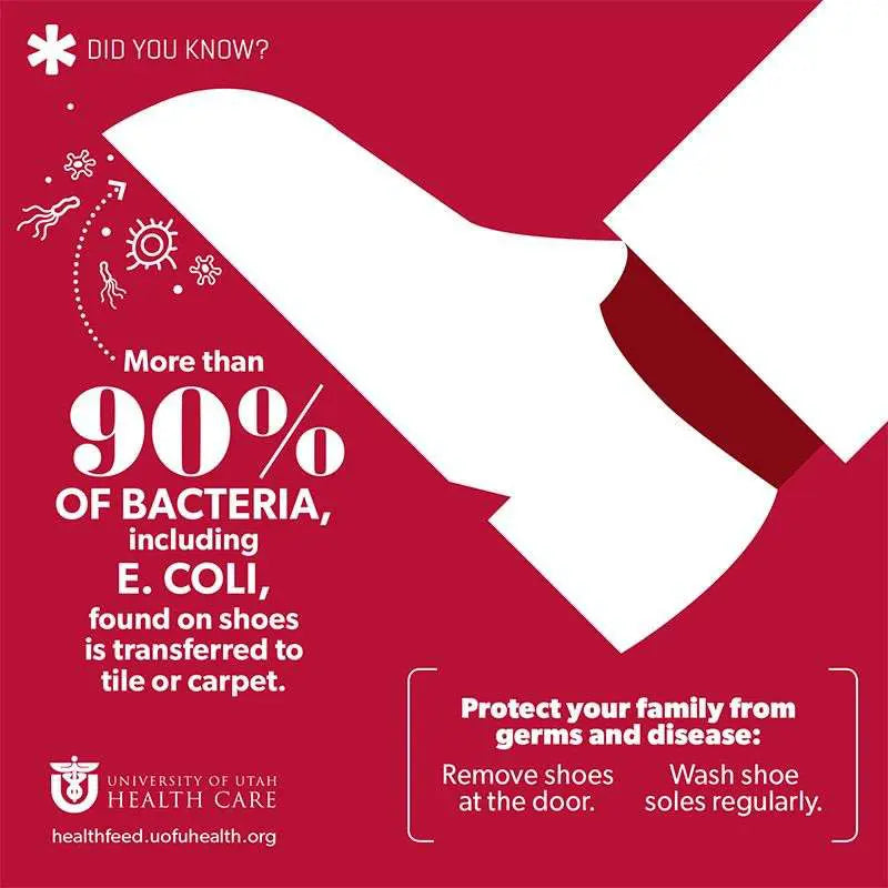 Infographic saying that more than 90% of bacteria, including E.coli, found on shoes is transferred to tile or carpet